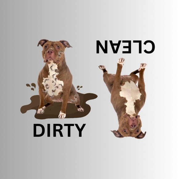 PIT BULL Clean Dirty Dishwasher Flexible Magnet - Picture 1 of 1
